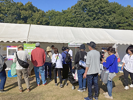 巨大ガチャも大人気です