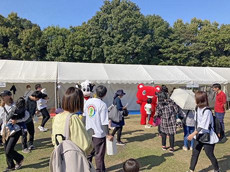 コーすけも登場